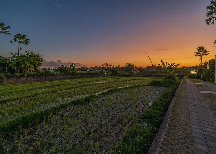 Casa Vera - Delightful 1-bedroom In The Heart Of Umalas チャングー